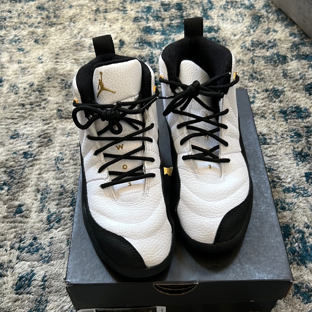 Jordan Retro 12